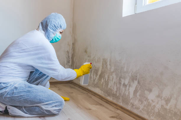 Best Mold Removal for HVAC Installations  in Venus, TX